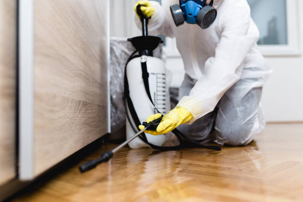 Best Bed Bug Extermination  in East Griffin, GA