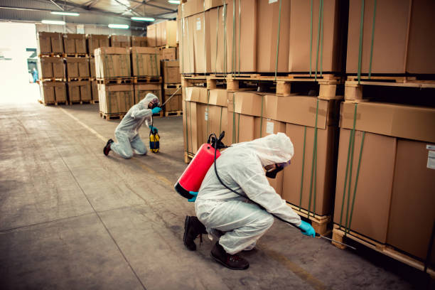 Best Best Pest Control Near Me  in East Griffin, GA