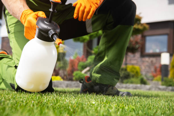 Best Flea Control Services  in East Griffin, GA