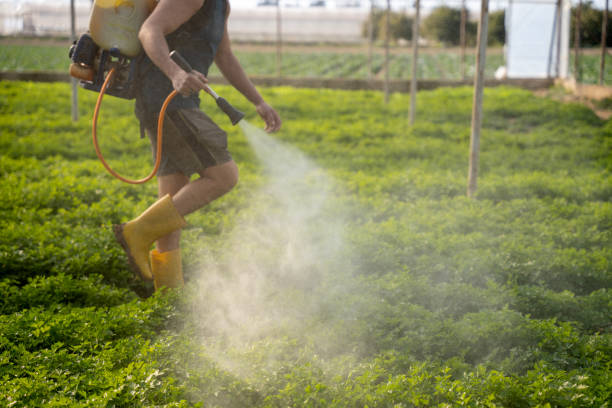 Best Commercial Pest Control Services  in East Griffin, GA