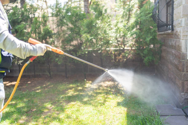 Best Best Pest Control Companies  in East Griffin, GA