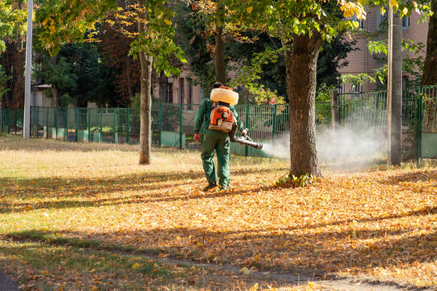 Best Pest Inspection Near Me  in East Griffin, GA