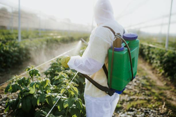 Best Wildlife Control Services  in East Griffin, GA